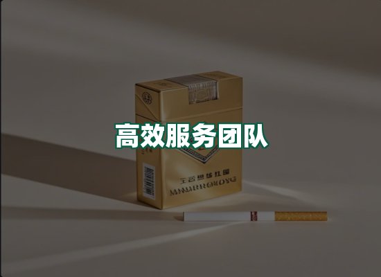 核心优势